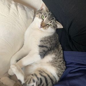 Meet your Posher, Mike